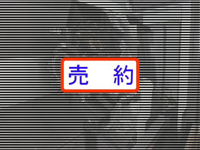 森精機 NC複合機 NL2500Y/1250-6